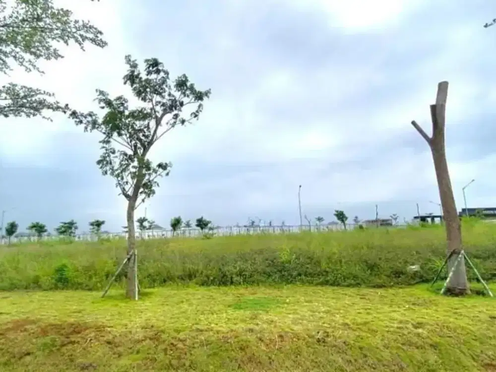 Tanah Kavling 1561m2 di CBD PIK2 Jalan Raya Row jalan 30 meter