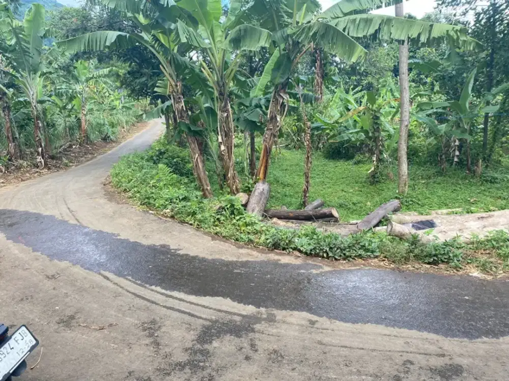 Tanah Jonggol  Murah SHM dijual BU