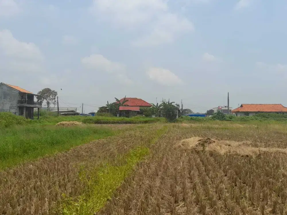 Tanah Sawah Di Pasilian Kronjo,Tangerang-Dekat Samsat Kronjo