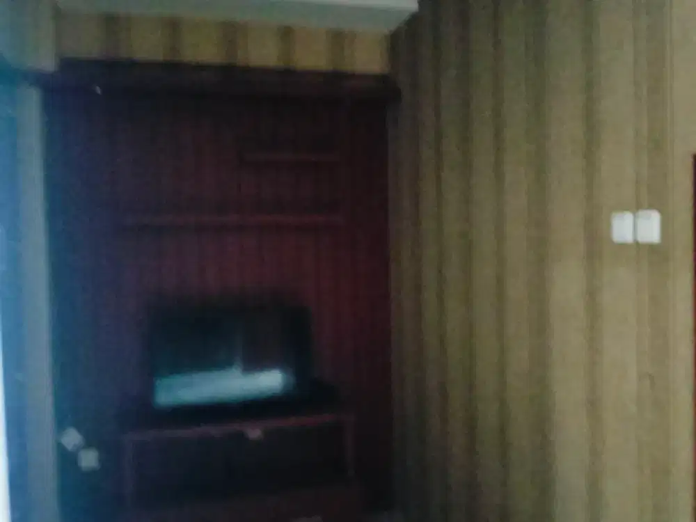 Studio Plus Cryshan Apartemen green Pramuka city