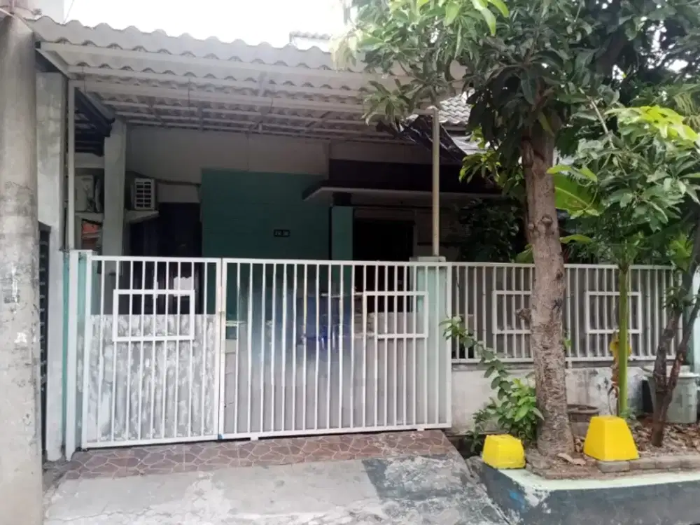 Rumah wisma lidah kulon Surabaya