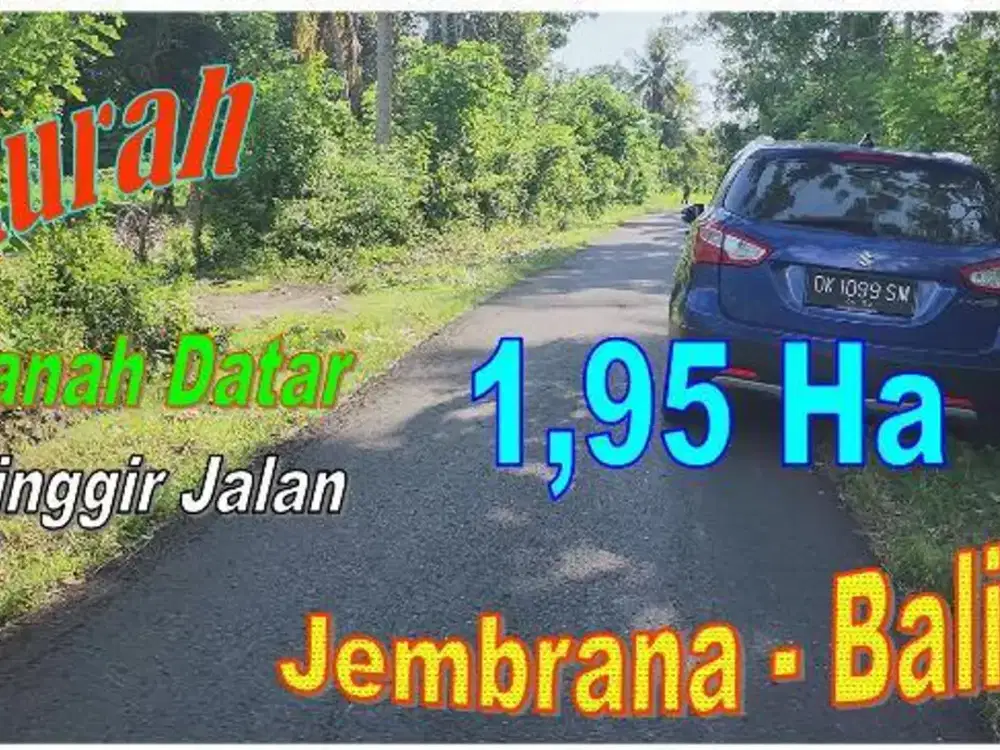 19.550 m2 Land for Sale only 8 mnt from Negara City of Jembrana