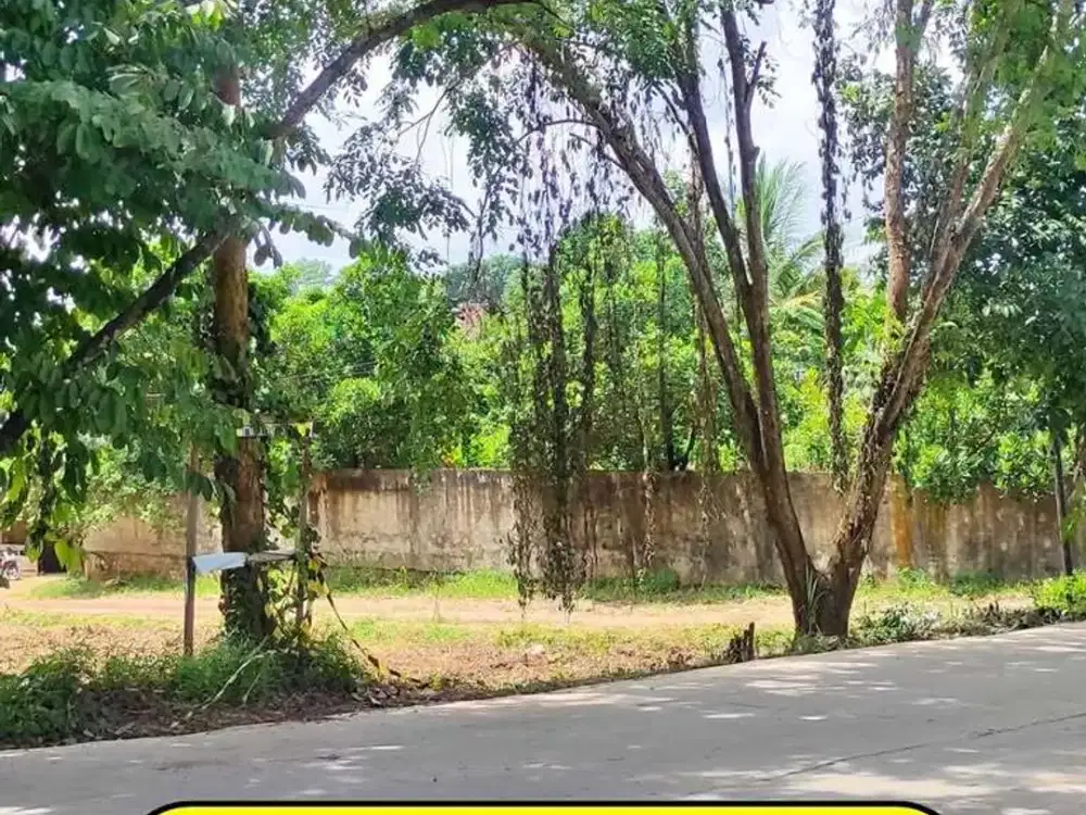dijual tanah pinggir jalan talang buruk km 7