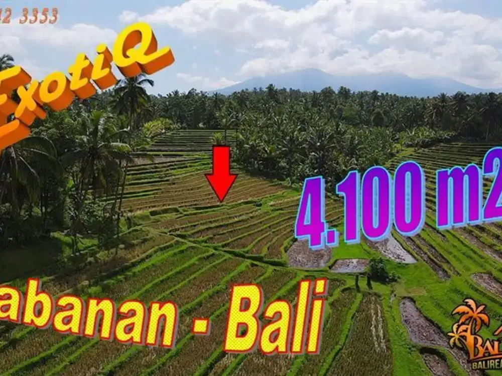 Affordable 4,100 sqm Freehold Land for Sale in Penebel Tabanan