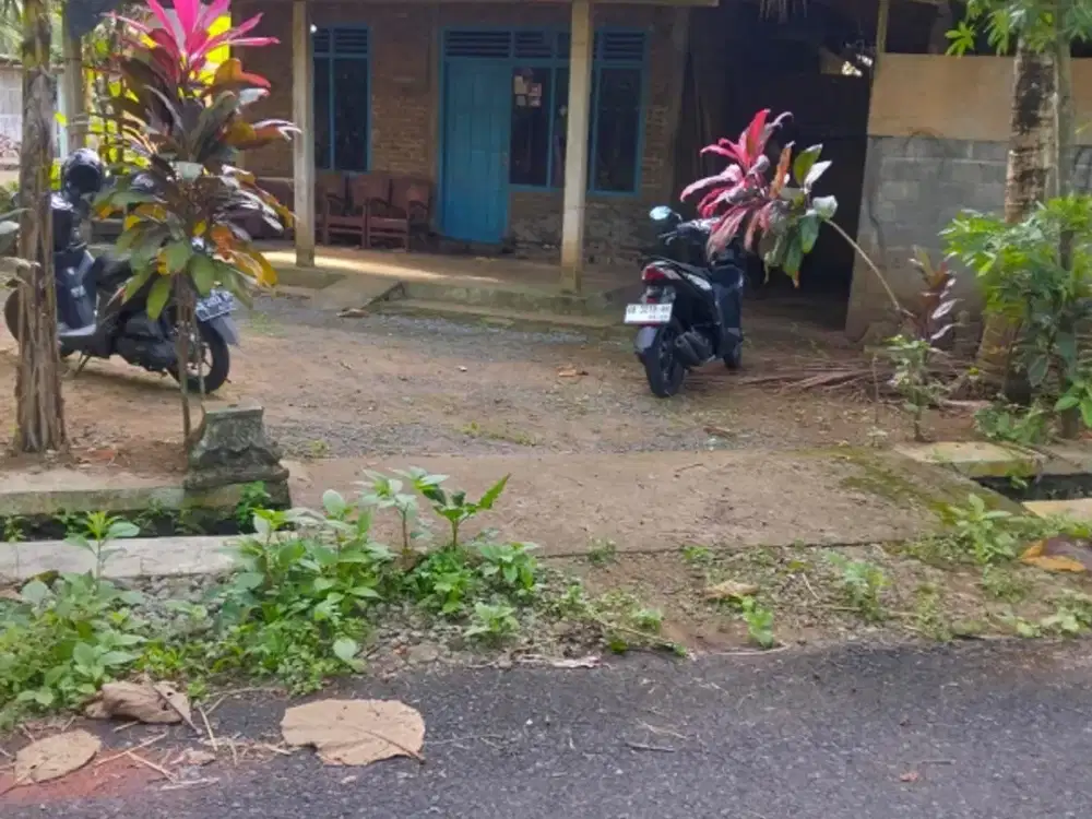 Tanah Bojus Rumah timur lapangan ngestiharjo wates
