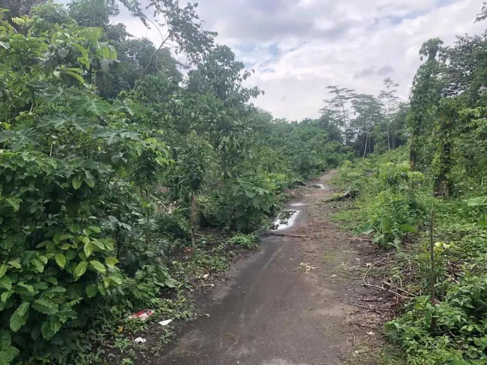 Tanah untuk Hunian dekat Jl. Kaliurang Km 12, Dekat Berbagai Fasilitas