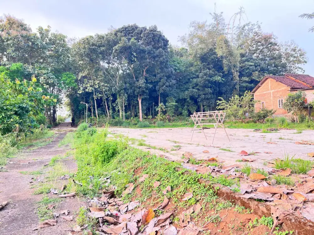 Tanah Super Datar 2000m Barat Pasar Mojogedang