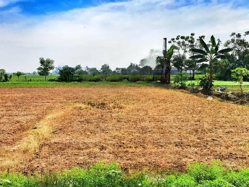 Dijual murah tanah di babelan kab. Bekasi