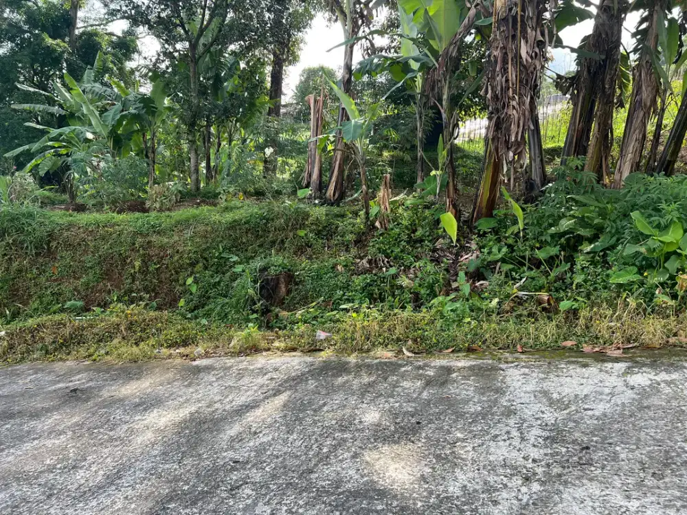 Tanah Tawangmangu 1150m 650Jt View Tanpa Terhalang