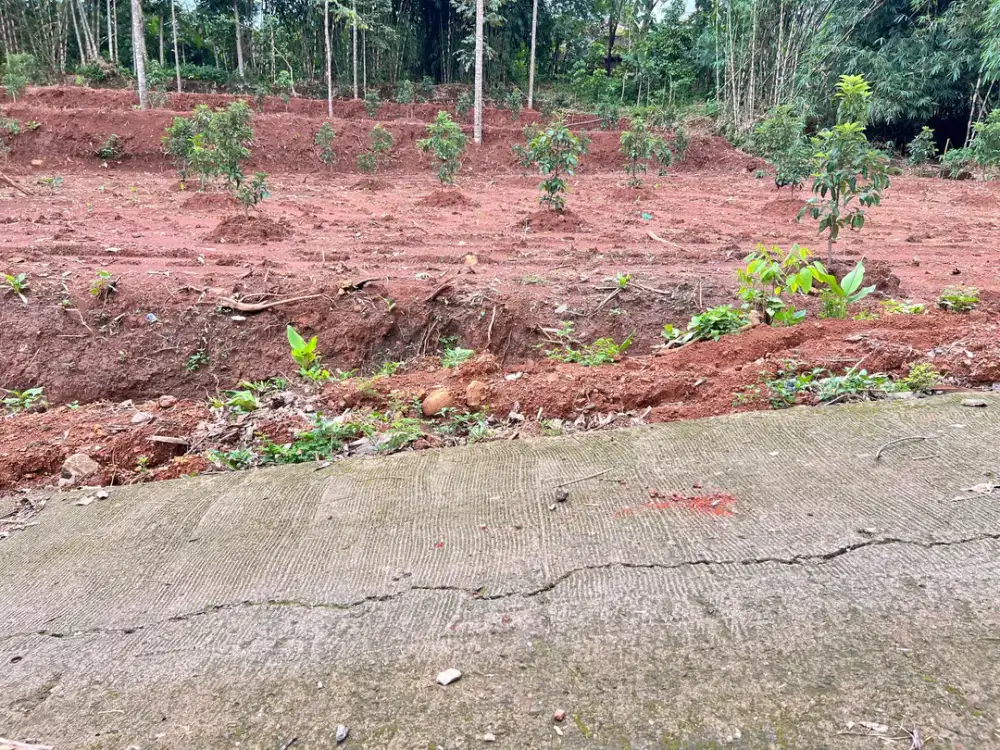 Kebun Durian 2103m Selatan Kecamatan Kerjo, Karanganyar