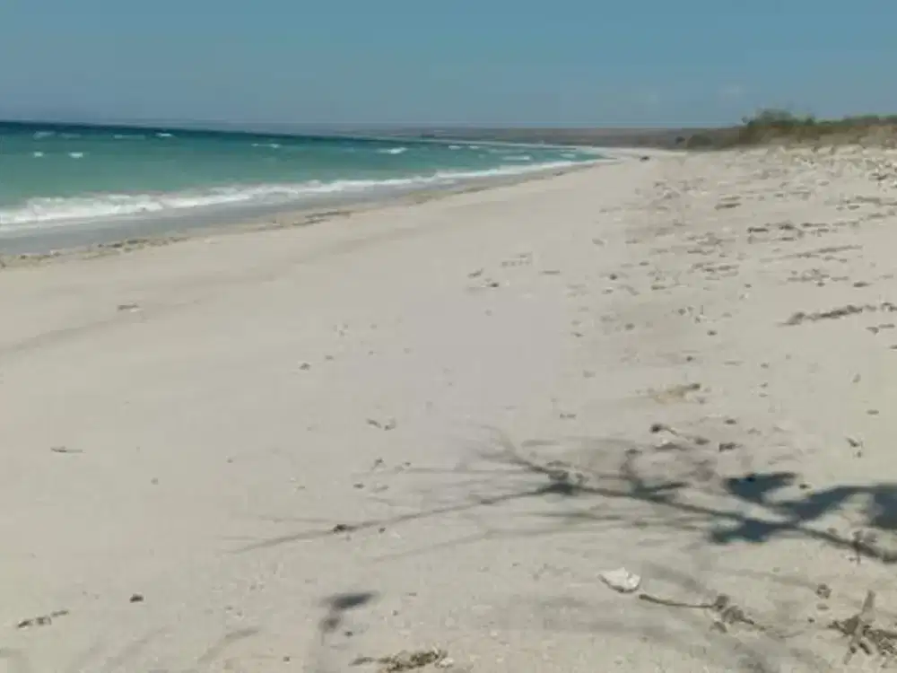 Land for sale beachfront sumba NTT