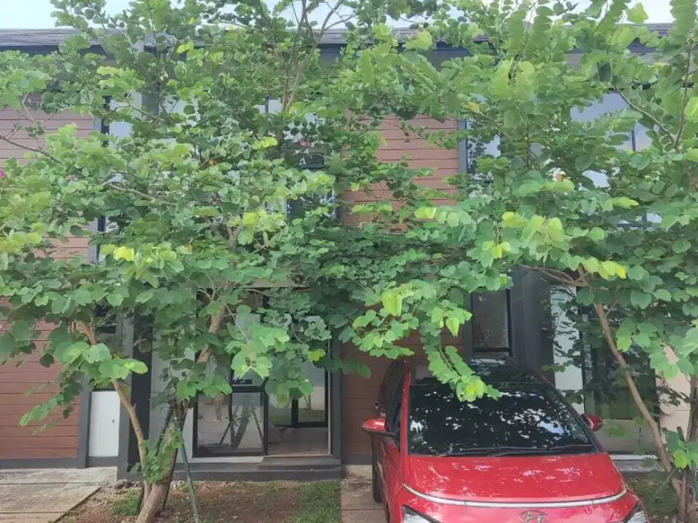 Rumah 3 kamar ciamik Cendana Peak, Lippo Karawaci