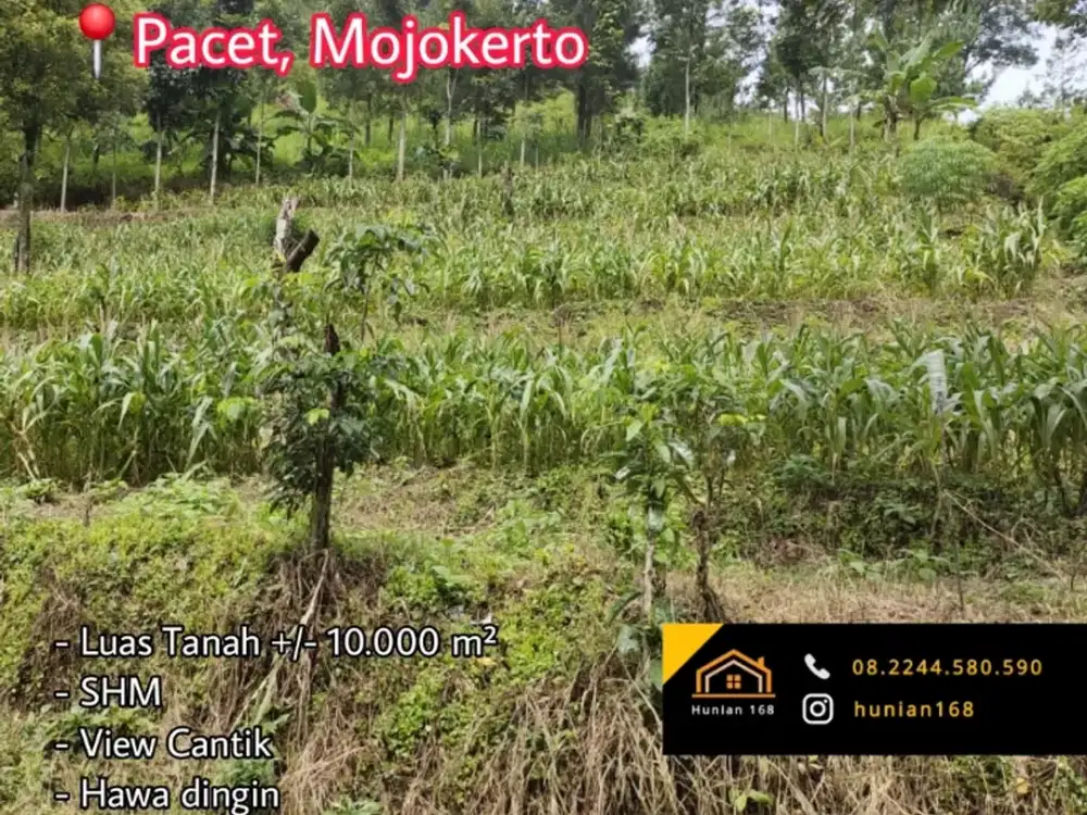 Tanah Kavling Rumah Villa Vila Bukit Tretes Trawas Pacet Mojokerto