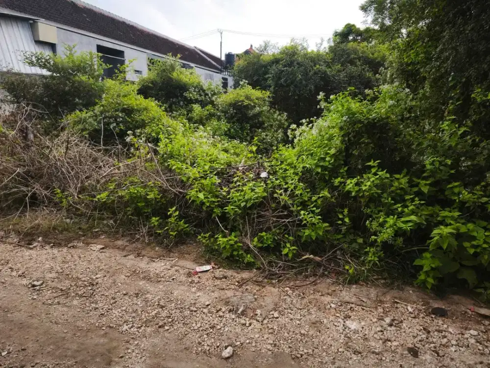 DIJUAL TANAH PLOT KECIL – TAMAN SAKURA, JIMBARAN