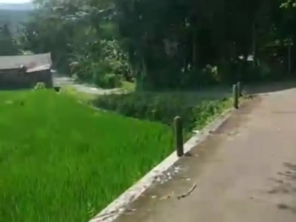 Tana view sawah asri selatan pasar kenteng harga termurah.