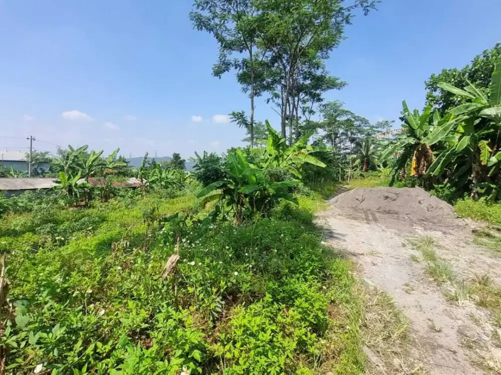 Dijual tanah istimewa cocok buat gudang di Klepu, Ungaran (12458-MRT)