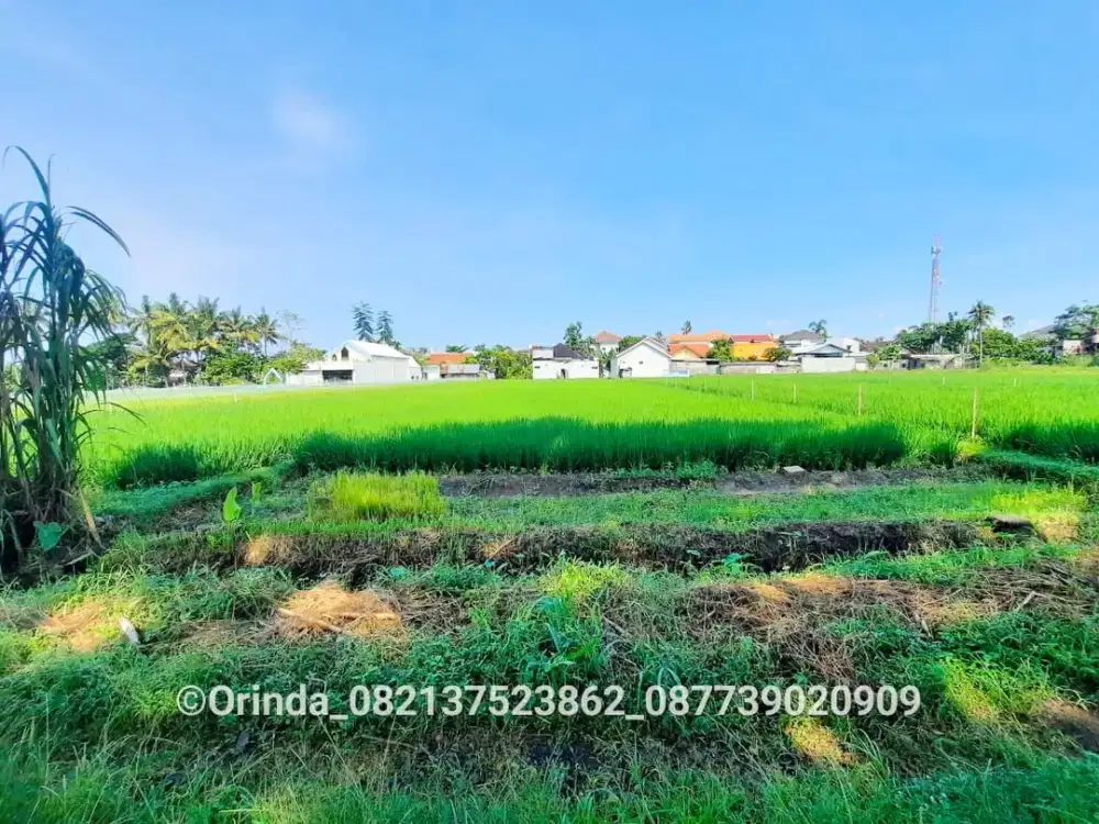 731m2 Jl Sidomukti Dekat Jl Damai, Jl Kaliurang, UGM, UPN Jogja