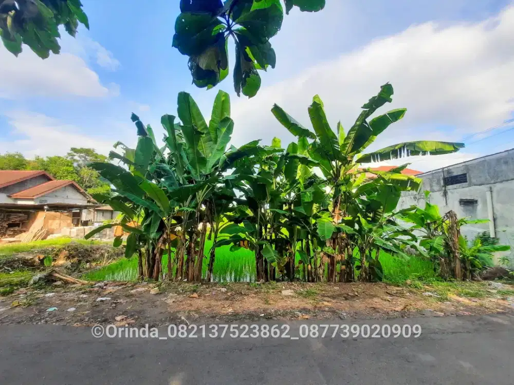 Tanah SHMS 886m2 Dekat Jl Kaliurang, Jl Kapten Haryadi, Pasar Gentan