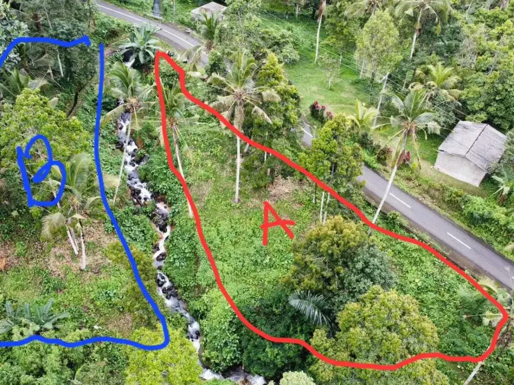 Tanah Langka Dengan Aliran Sungai Di Tabanan Bali