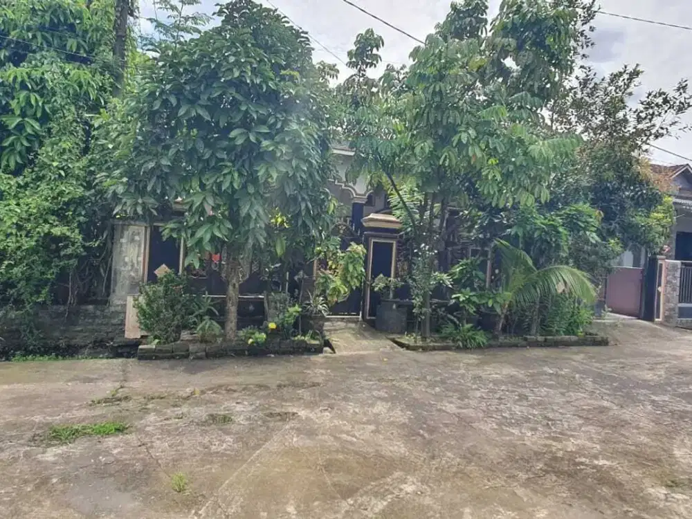 dijual tanah jakabaring belakang dekranasda