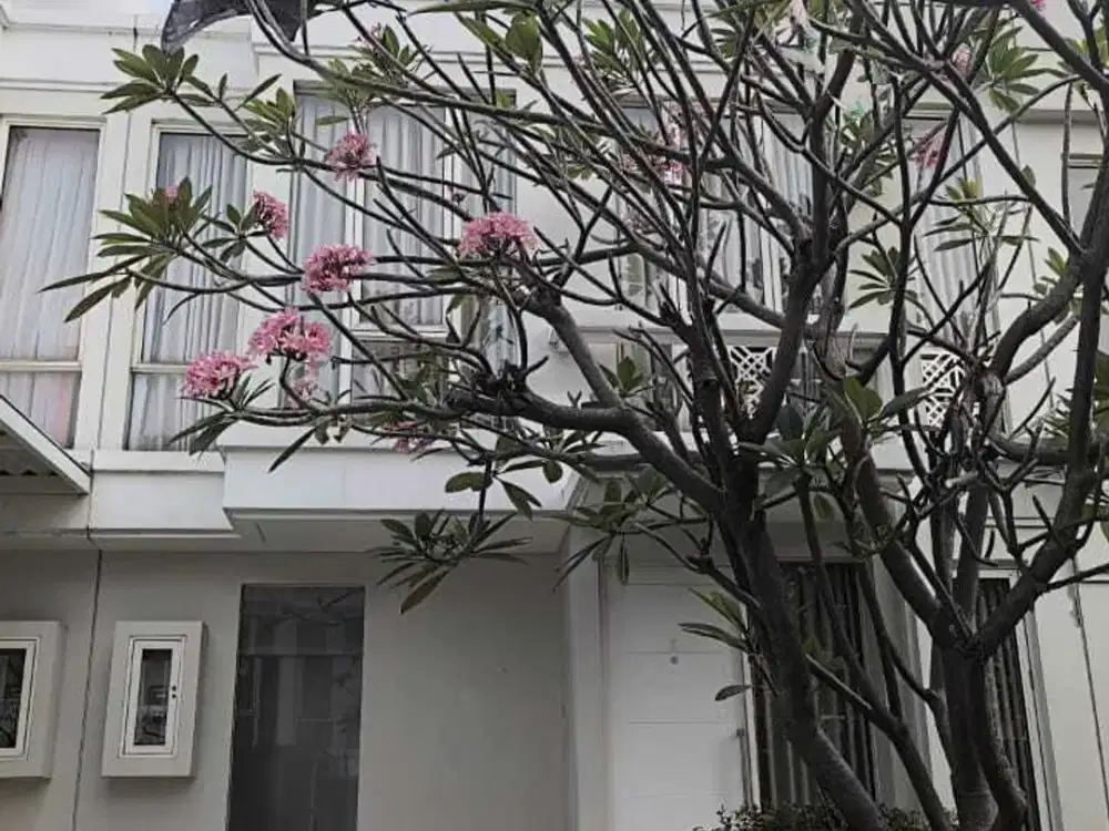 Sewa Rumah Full Furnish Murah Grand Pakuwon Tandes