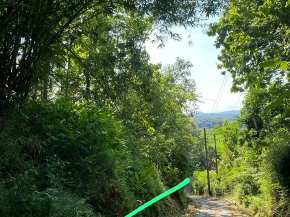 Tanah View sawah dan pegunungan menoreh dekat resto dan fasum
