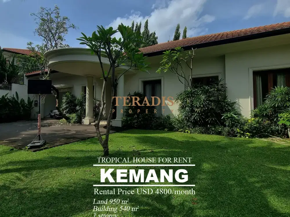 DISEWAKAN RUMAH BERGAYA TROPICAL DI DAERAH KEMANG