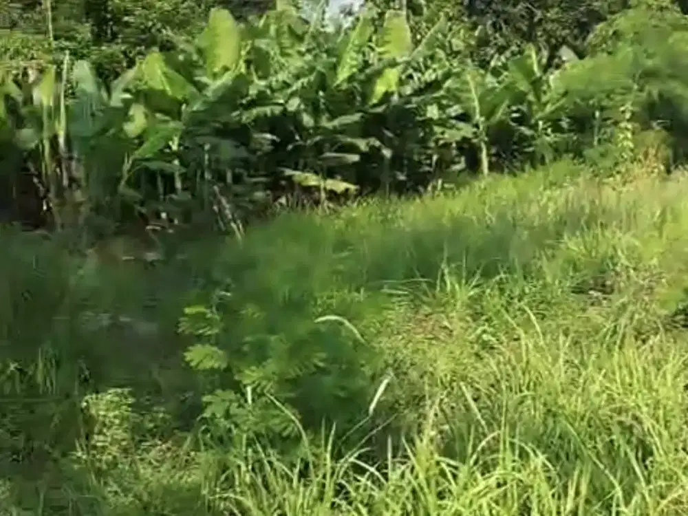 Lahan SHM 9425m2 Bekasi Dekat Summarecon Mall Bekasi