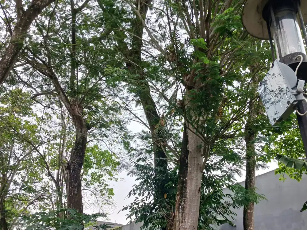 Di Jual Cepat Turun Harga Kavling di Taman Tirta Golf