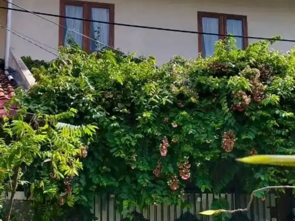 Rumah Nyaman Siap Huni Di Bukit Nusa Indah Ciputat 14690