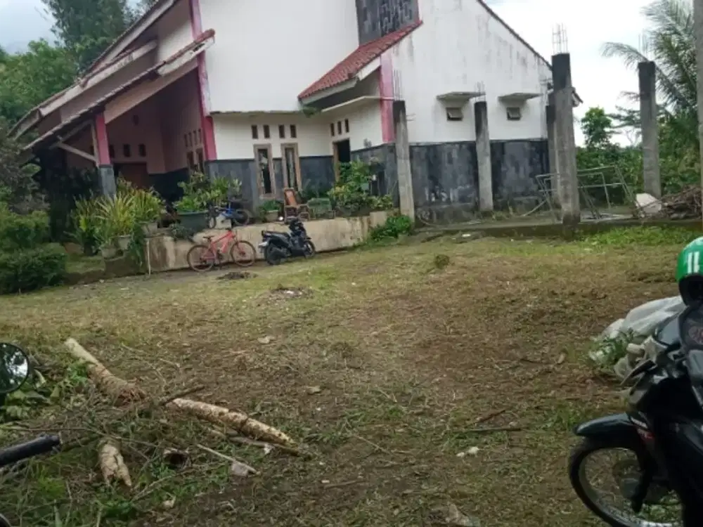 Tana Bonus baguna gudang cabai aksea aspal truk lancar