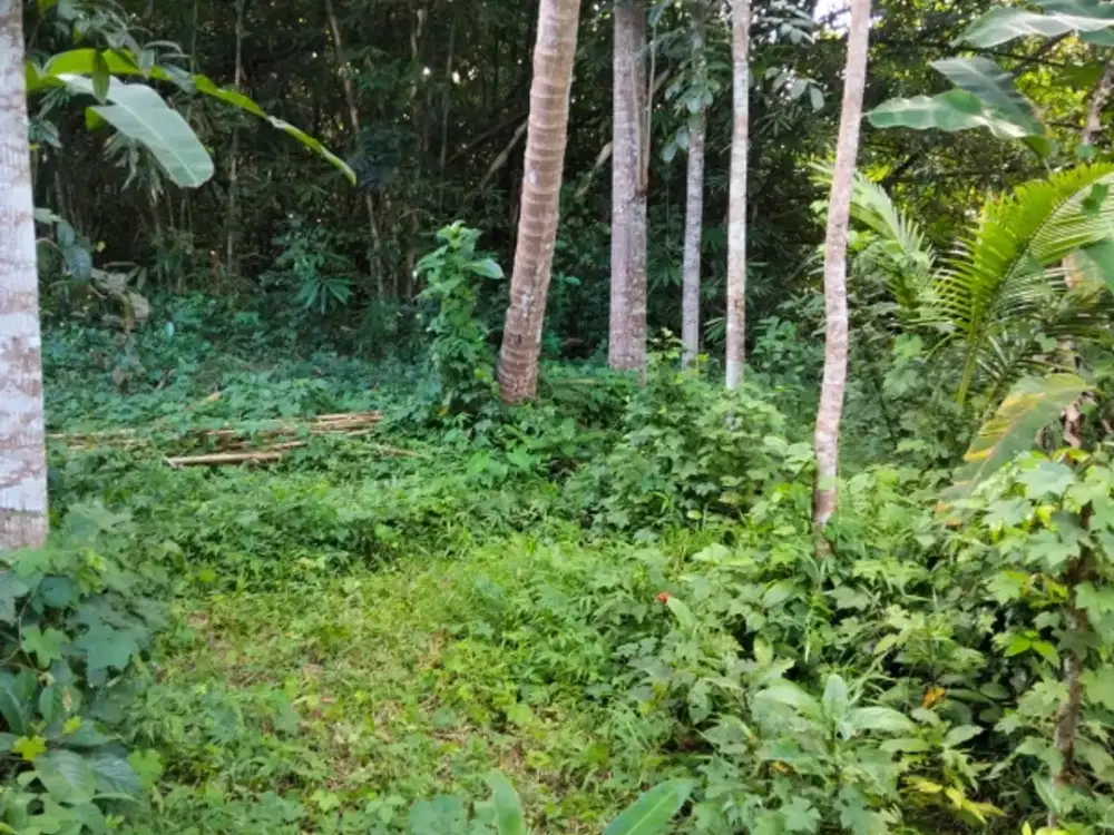 Termurah tanah kokap 5 menit kota wates 10 menit bandara YIA