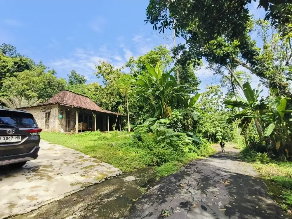 Tanah murah kedungjeruk mojogedang karanganyar dekat pabrik