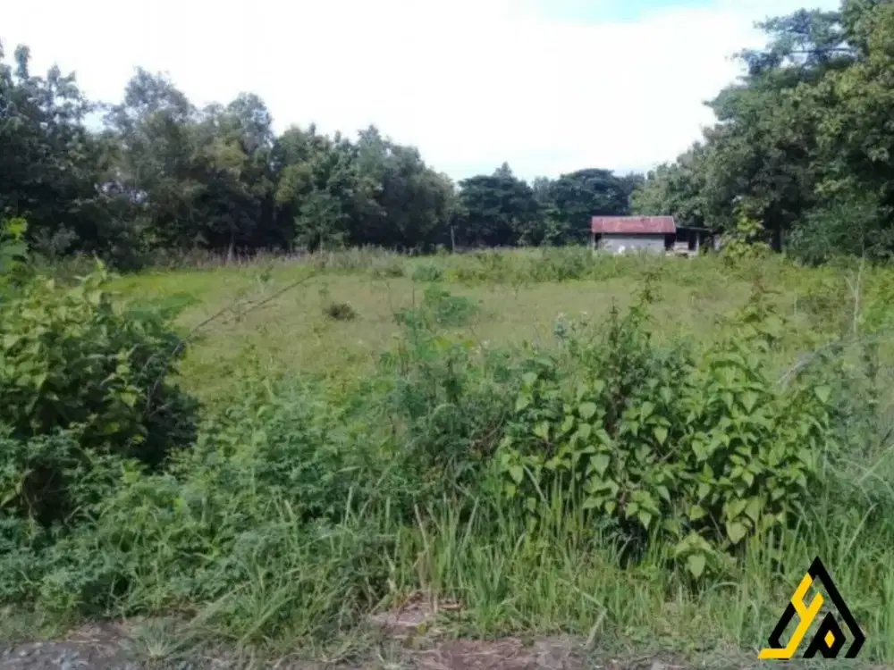 Dijual tanah zona kuning luas 7403m sangat strategis!