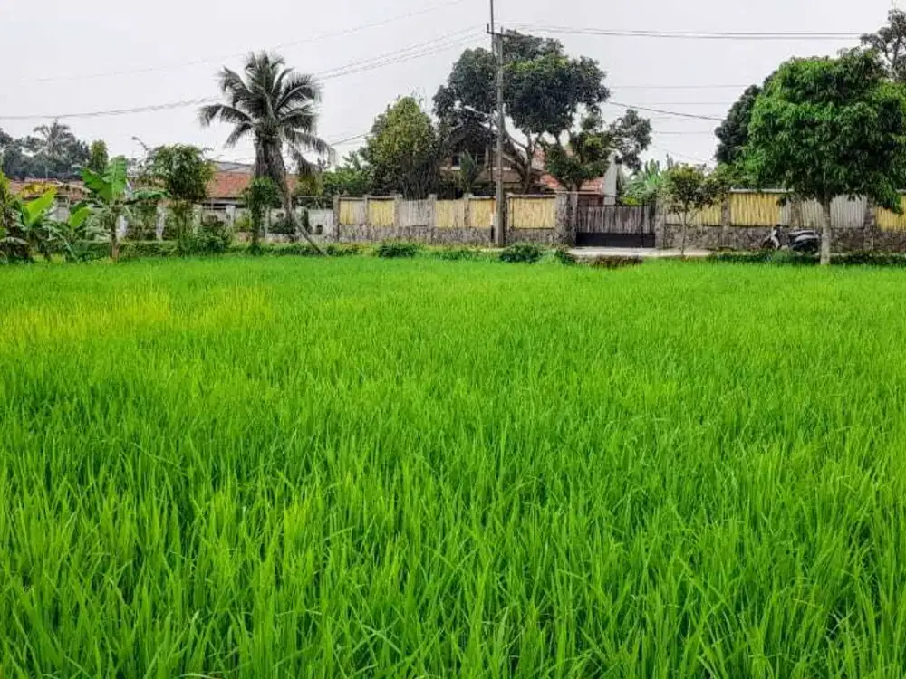 Tanah Murah Air melimpah di Bogor