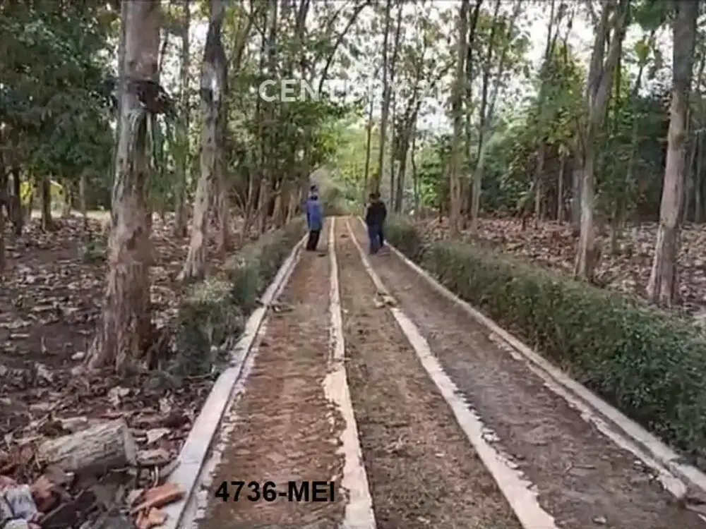 Dijual Kavling Strategis Harga Menarik Di Ciseeng Bogor