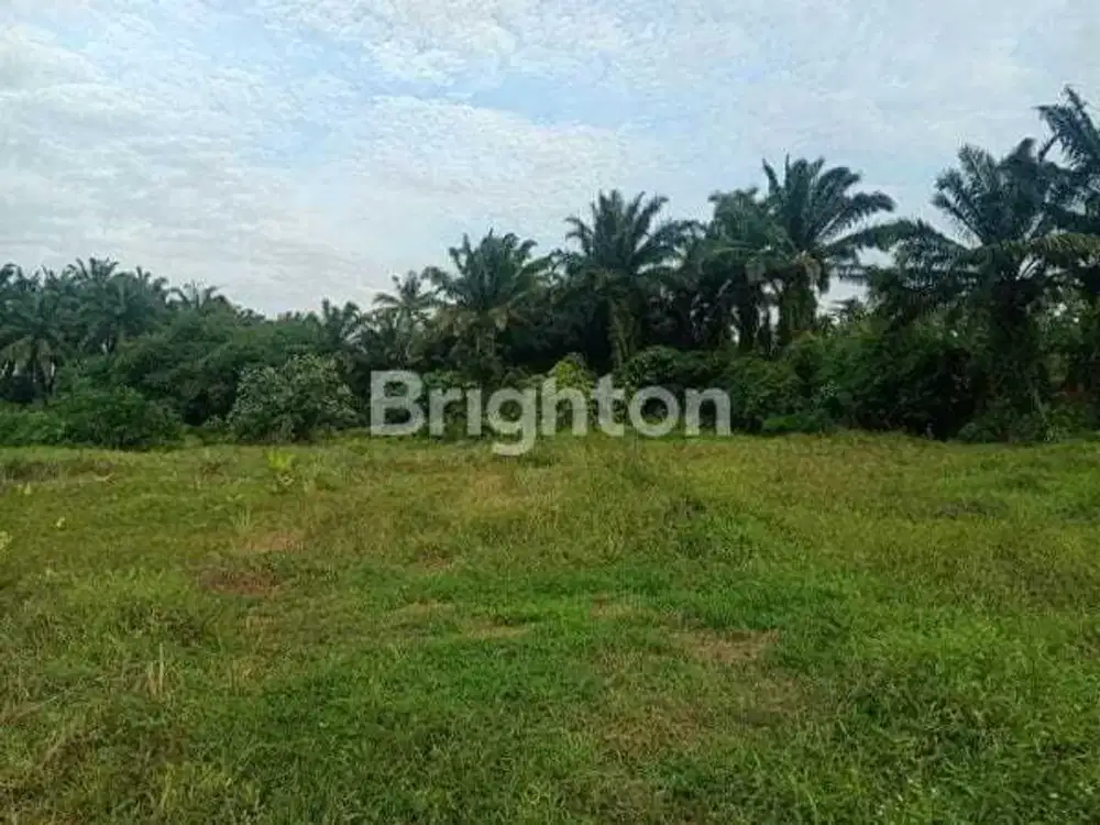 Dijual cepat Tanah di Glugur Rimbun