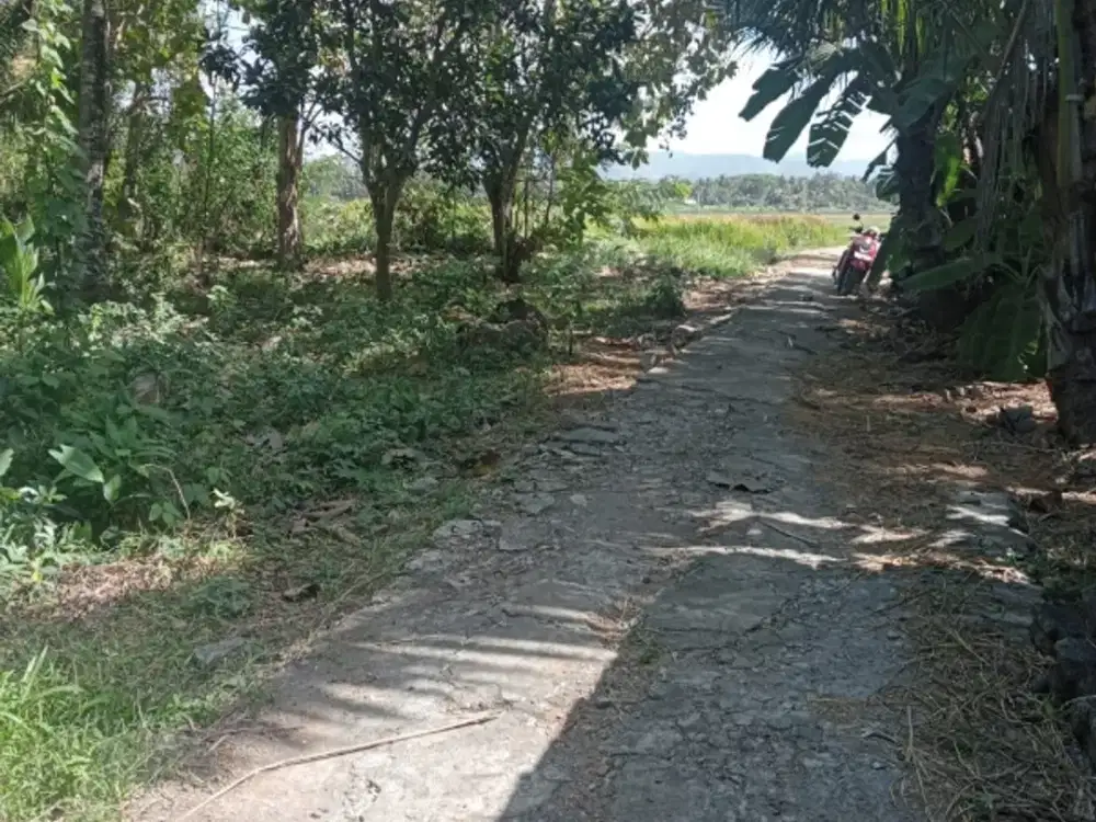 Tanah murah 10 menit badara Yia pas tuk investasi