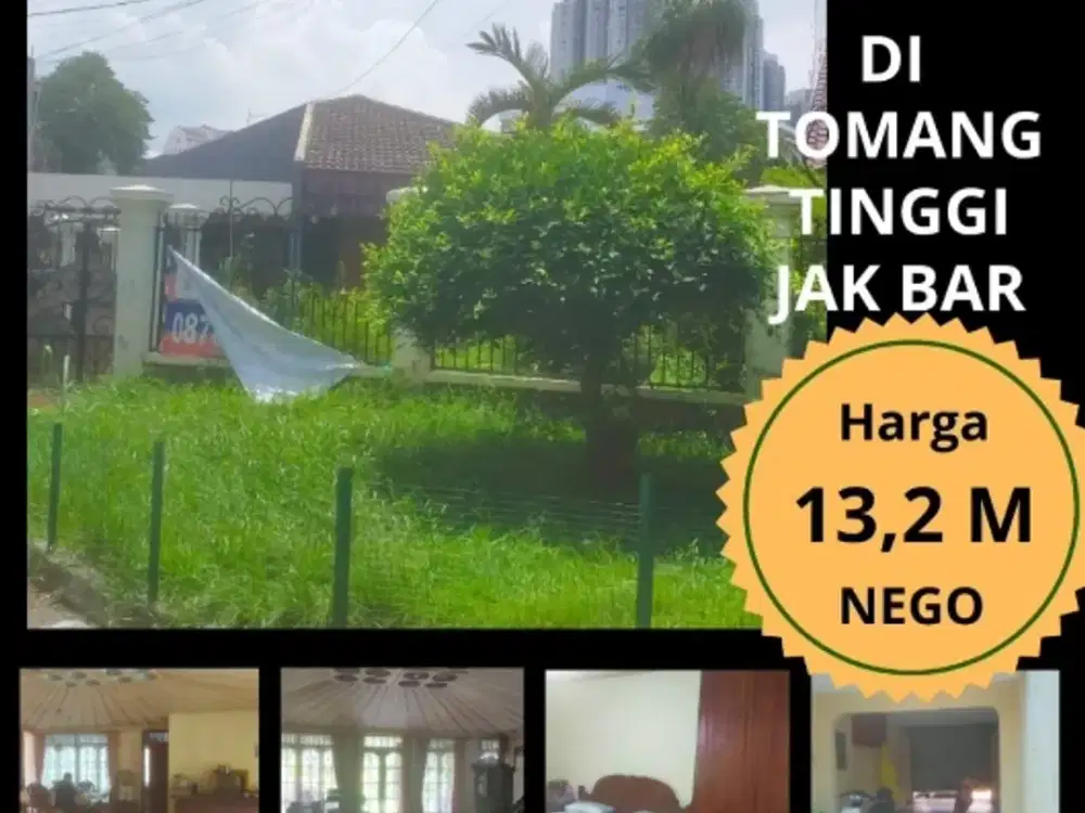 Rumah asri di Tomang Jakarta Barat