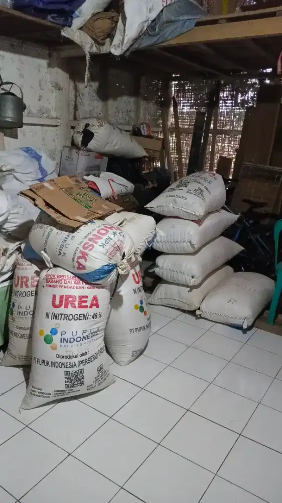 Beras kampung ciamis, asli sawah sendiri, pulen