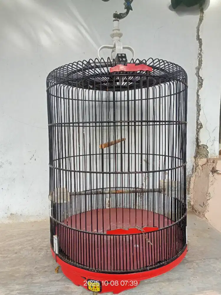 Sangkar orig no 3