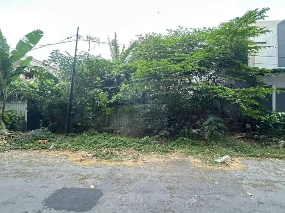 Disewakan Tanah di Dharmahusada Indah Surabaya