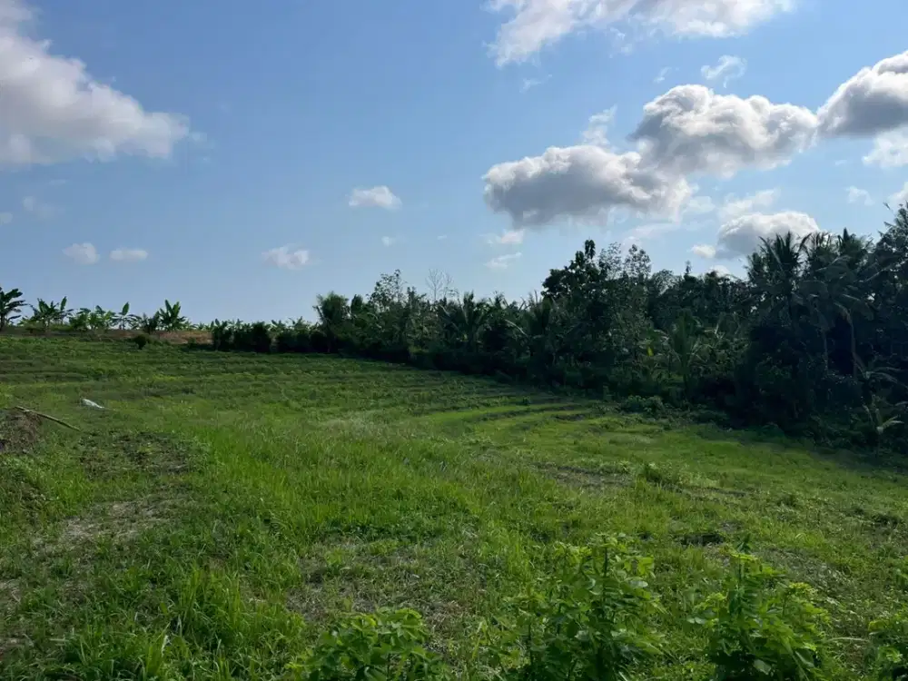 Dijual Tanah lokasi banjar dinas sukawati,selemadeg, tabanan 1km ke jalan utama denpasar-gilimanuk.