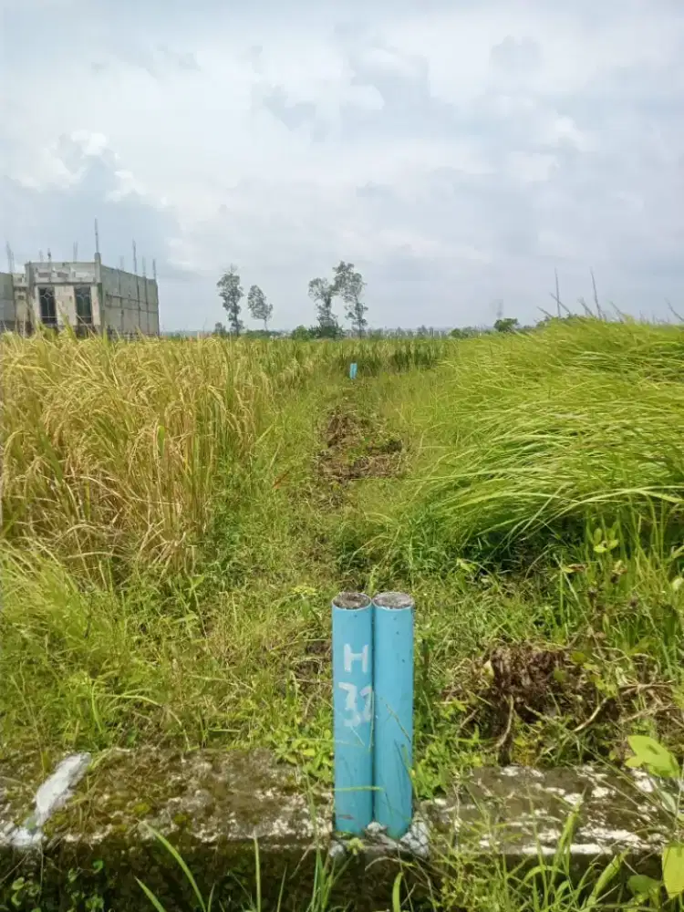 Kavling Tanah Domas Menganti 60m² jual cepat