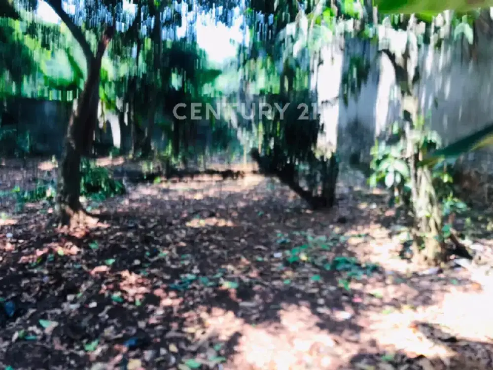 Tanah Darat Cocok Untuk Investasi Di Blkg RS Hermina Grand Wisata