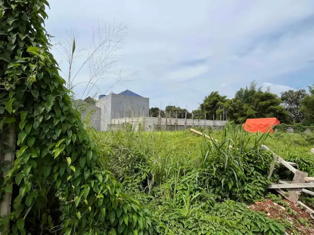 Tanah Murah Di Bawah Harga NJOP Di Jakarta