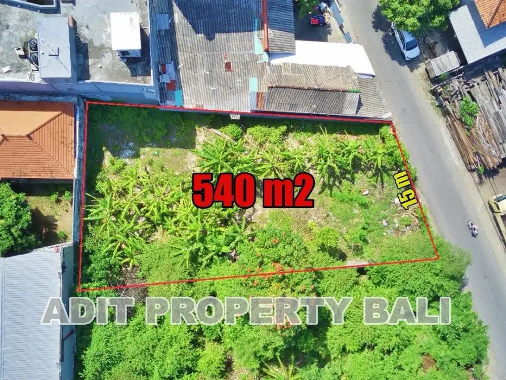 Tanah Pura Demak Denpasar Barat