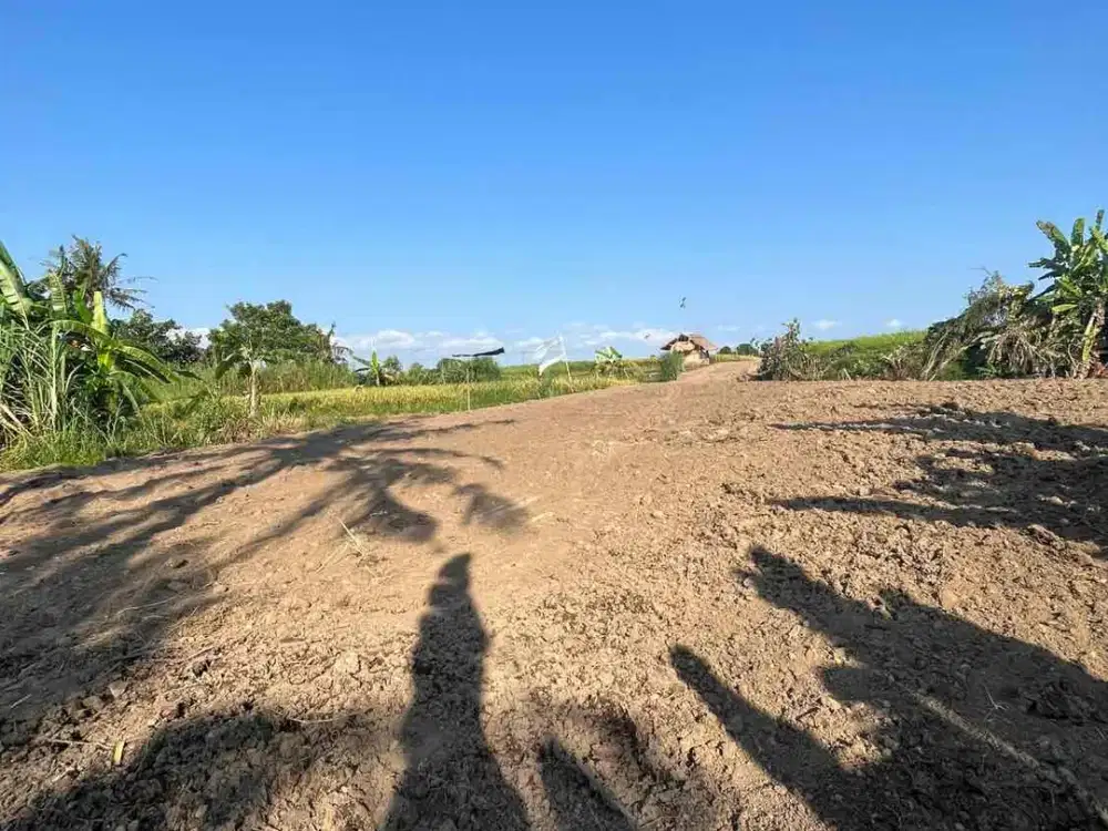 Dijual Tanah Super BUC 200 Meter Dari Pantai Kedungu