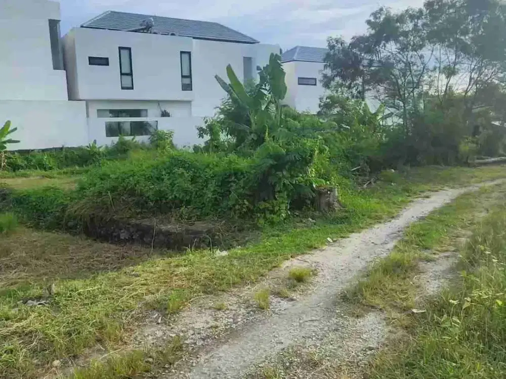 PREMIUM LAND IN PANTAI LIMA FOR SALE