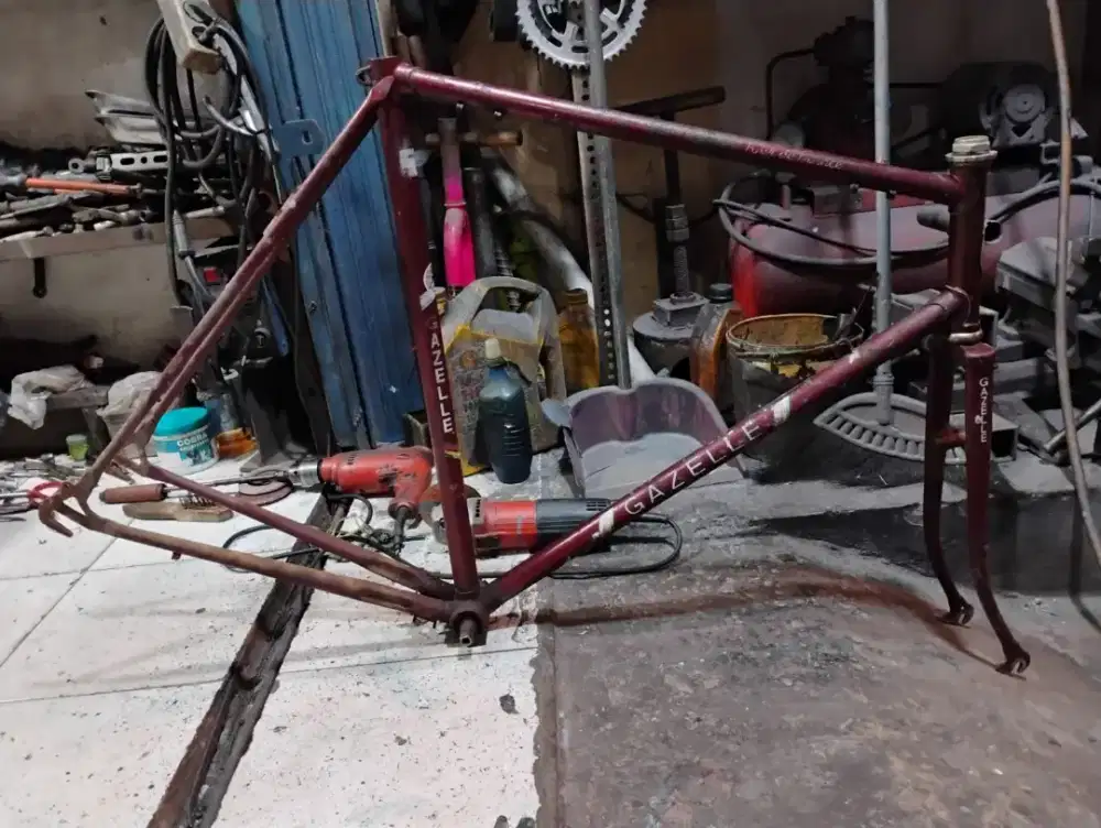 frameset gazelle tour de france